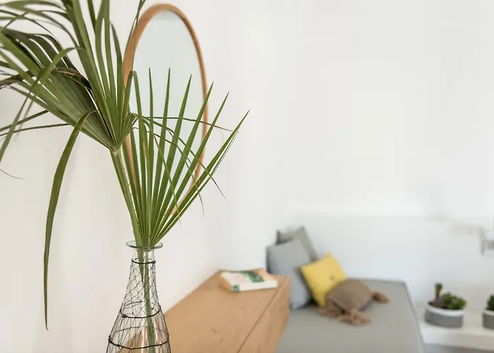 米科诺斯a酒店 Mykonos Town