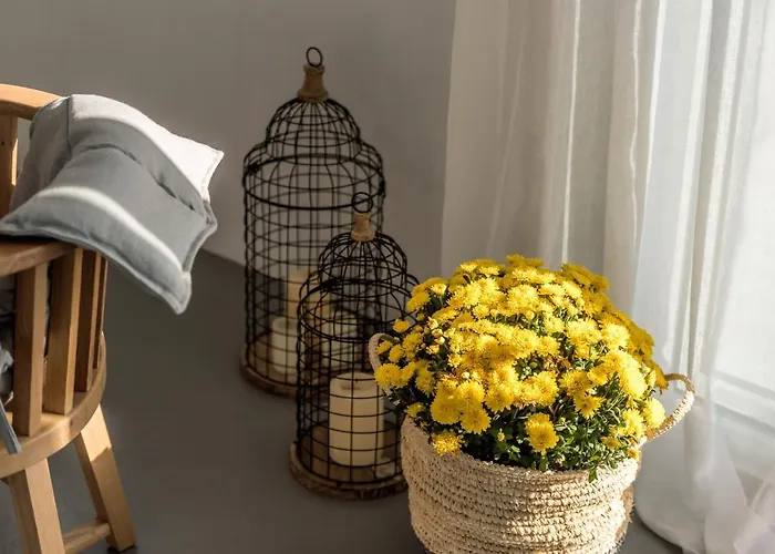 酒店 米科诺斯a酒店 Mykonos Town