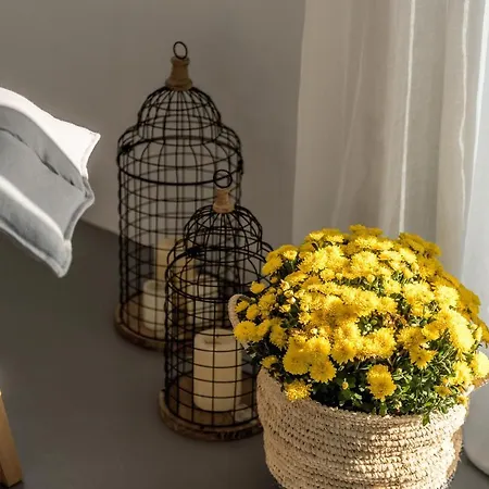 Hotel A Mykonos Mykonos Town