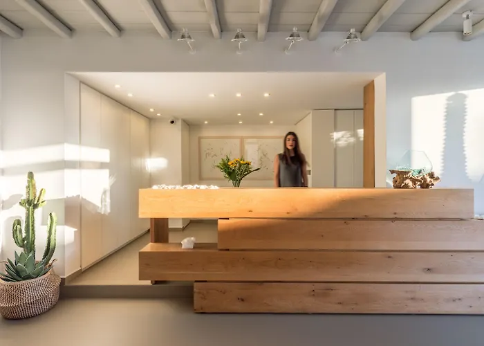 米科诺斯a酒店 Mykonos Town