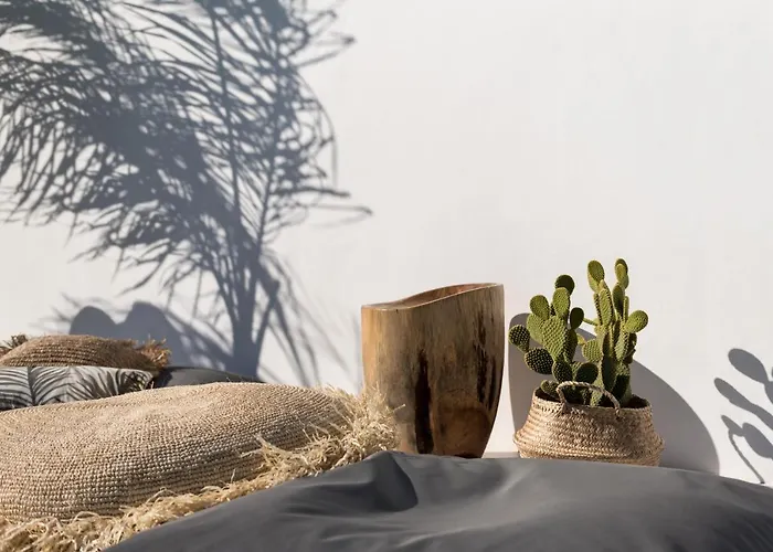 米科诺斯a酒店 4* Mykonos Town